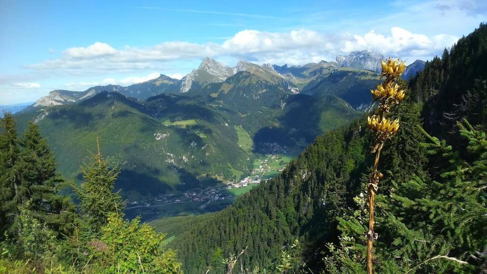 Hotel Atelier Des Sapins Blancs Vacheresse Zewnętrze zdjęcie